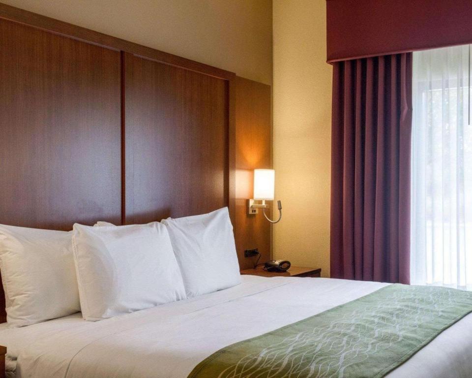 Comfort Suites Starkville Εξωτερικό φωτογραφία
