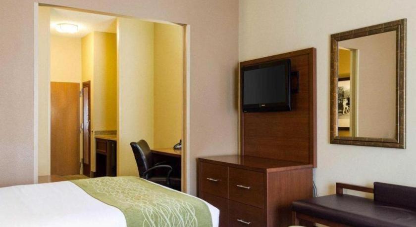 Comfort Suites Starkville Εξωτερικό φωτογραφία