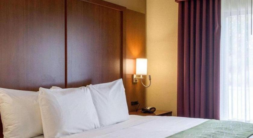 Comfort Suites Starkville Εξωτερικό φωτογραφία